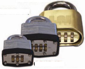 Hipcam Blog  Smart Locks: una revolución en la seguridad del hogar